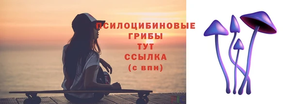 PSILOCYBIN Пролетарск