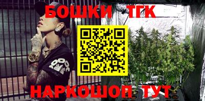 гидра Берёзовский
