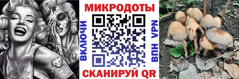 купить наркотик  Вольск  Галлюциногенные грибы мухоморы 