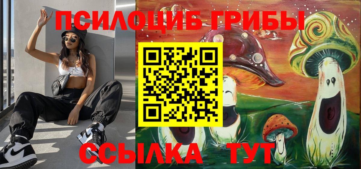 Вольск  Галлюциногенные грибы MAGIC MUSHROOMS  Вход с VPN 
