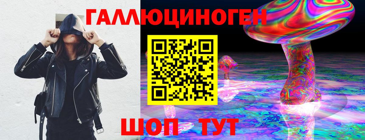 где можно купить   Вольск  Псилоцибиновые грибы Psilocybe 